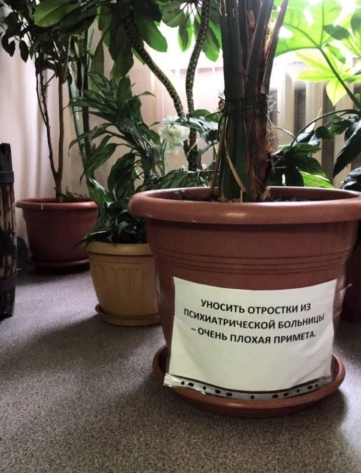 Приколюшные картинки - Бодибилдинг форум AnabolicShops