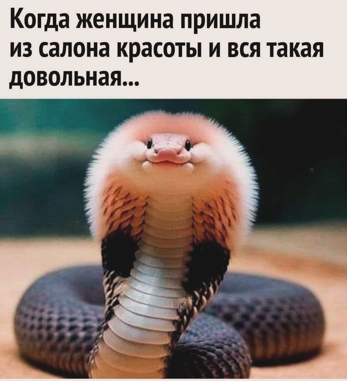 Приколюшные картинки - Бодибилдинг форум AnabolicShops