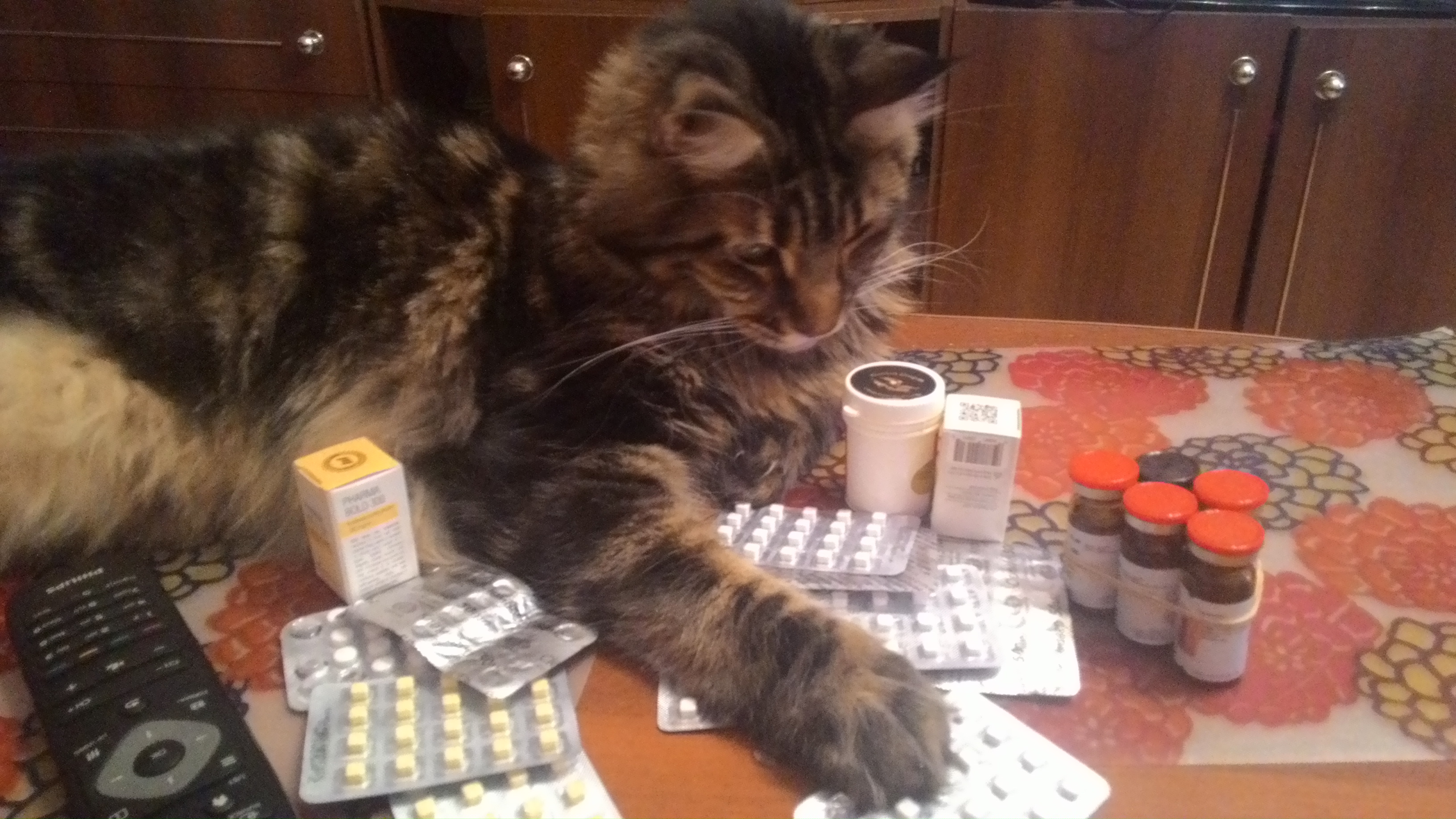 Thomas&Co - Медицинское качество. - Бодибилдинг форум AnabolicShops