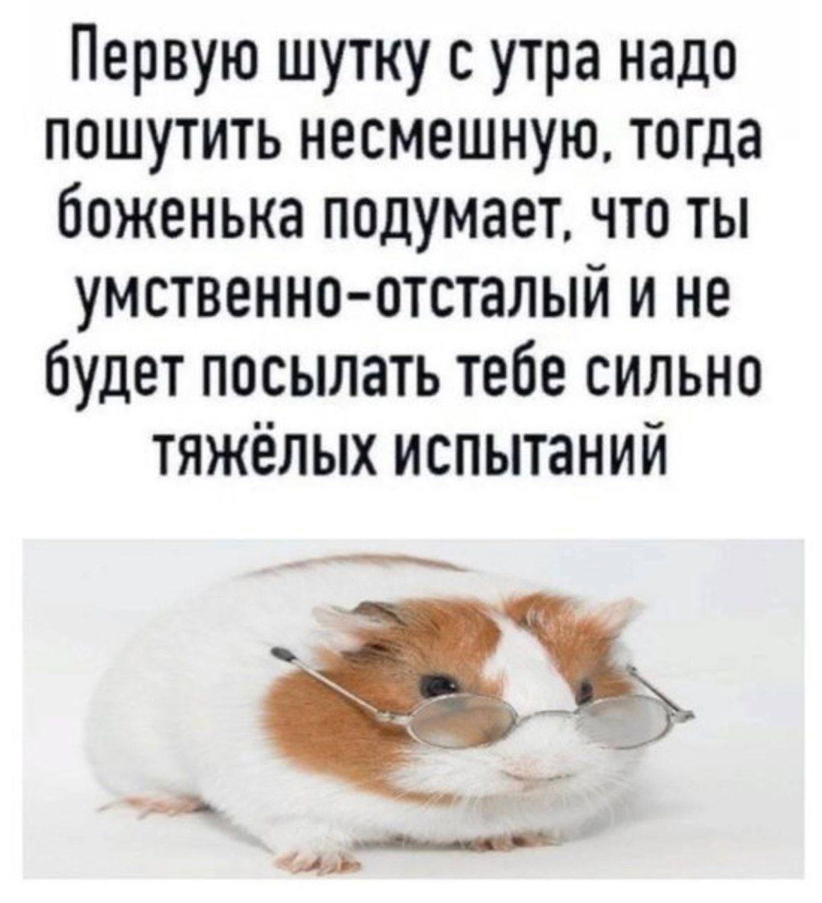 Приколюшные картинки - Бодибилдинг форум AnabolicShops