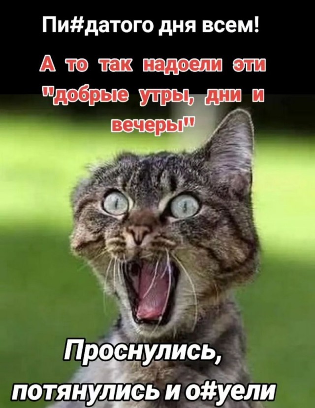 Курилка- разговоры на любые темы - Бодибилдинг форум AnabolicShops