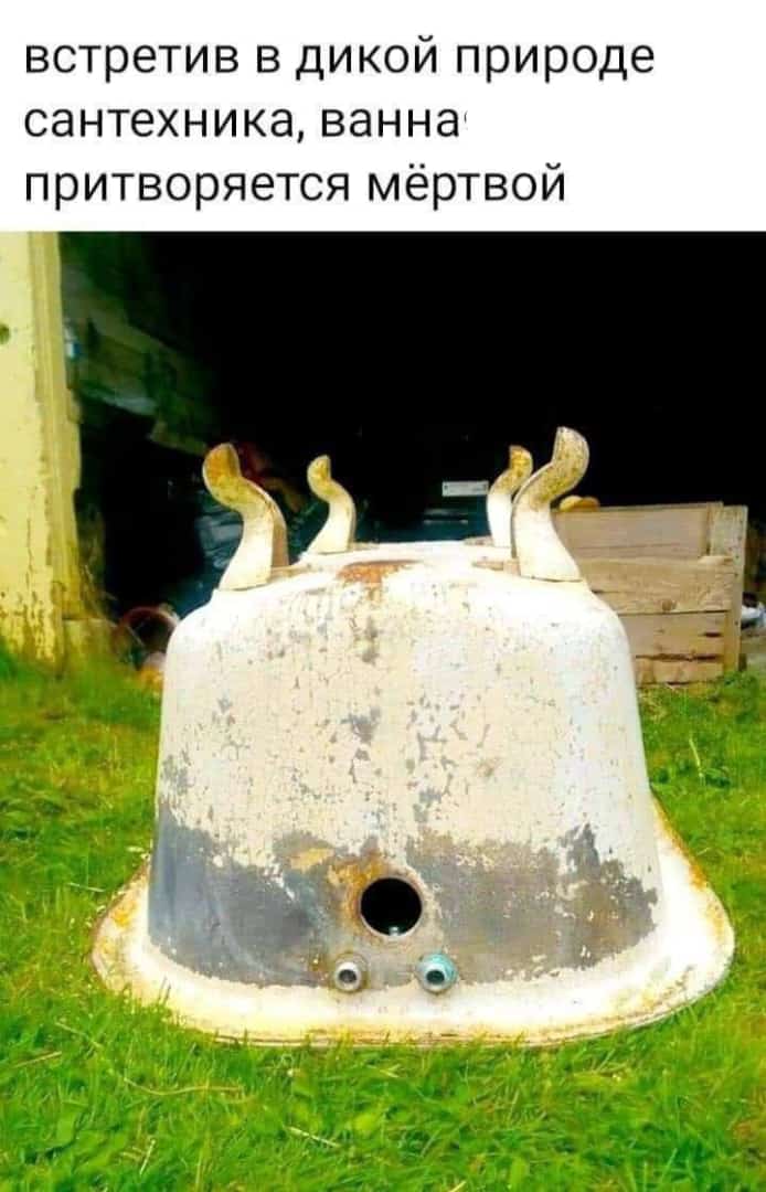 Приколюшные картинки - Бодибилдинг форум AnabolicShops