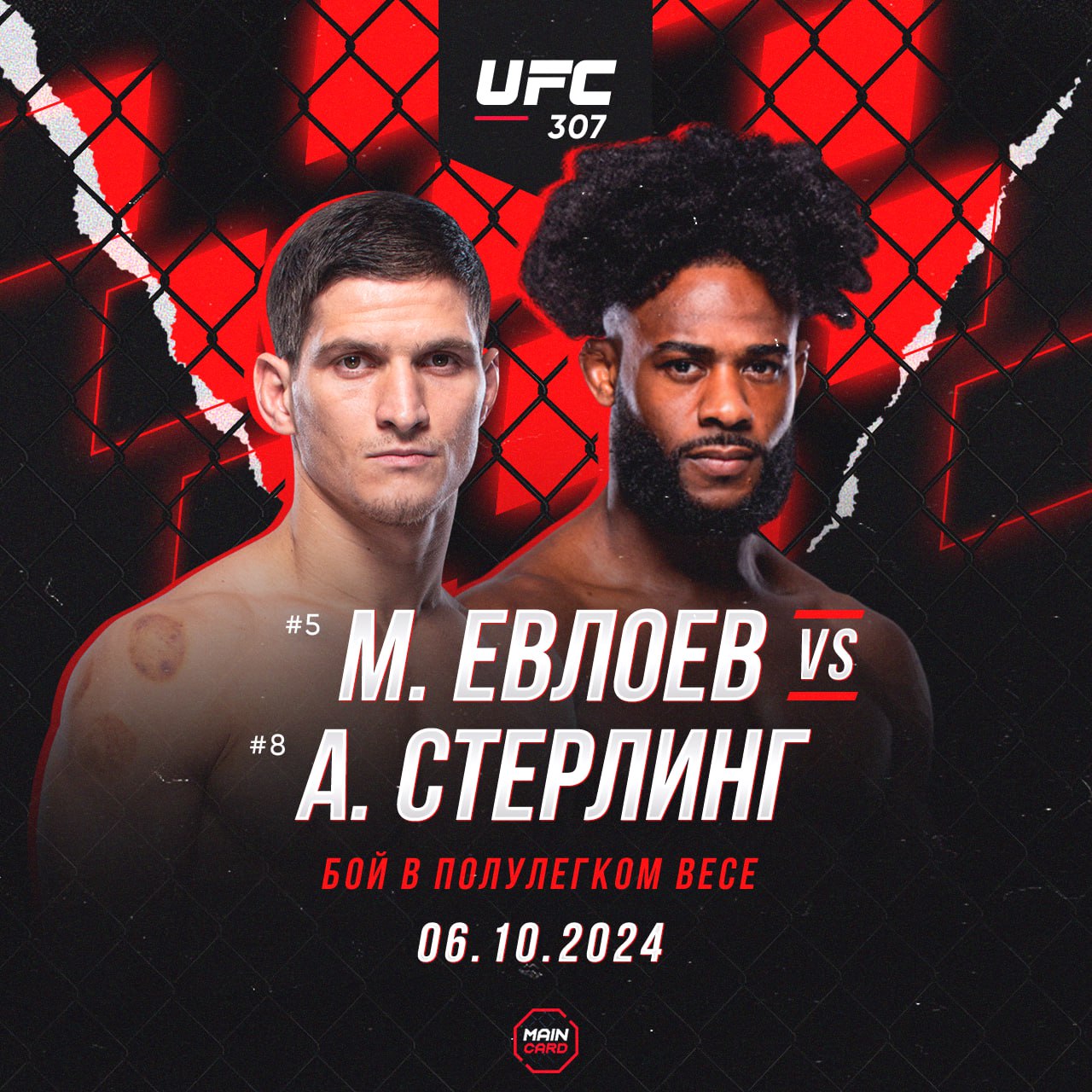 Новости из мира ММА и единоборств - Бодибилдинг форум AnabolicShops