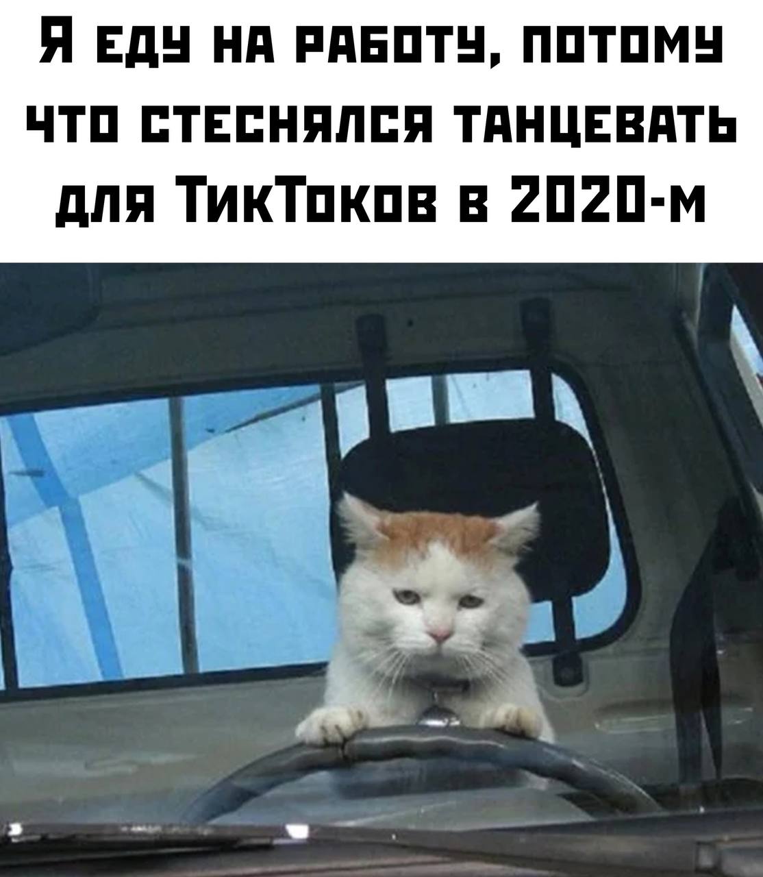 Приколюшные картинки - Бодибилдинг форум AnabolicShops