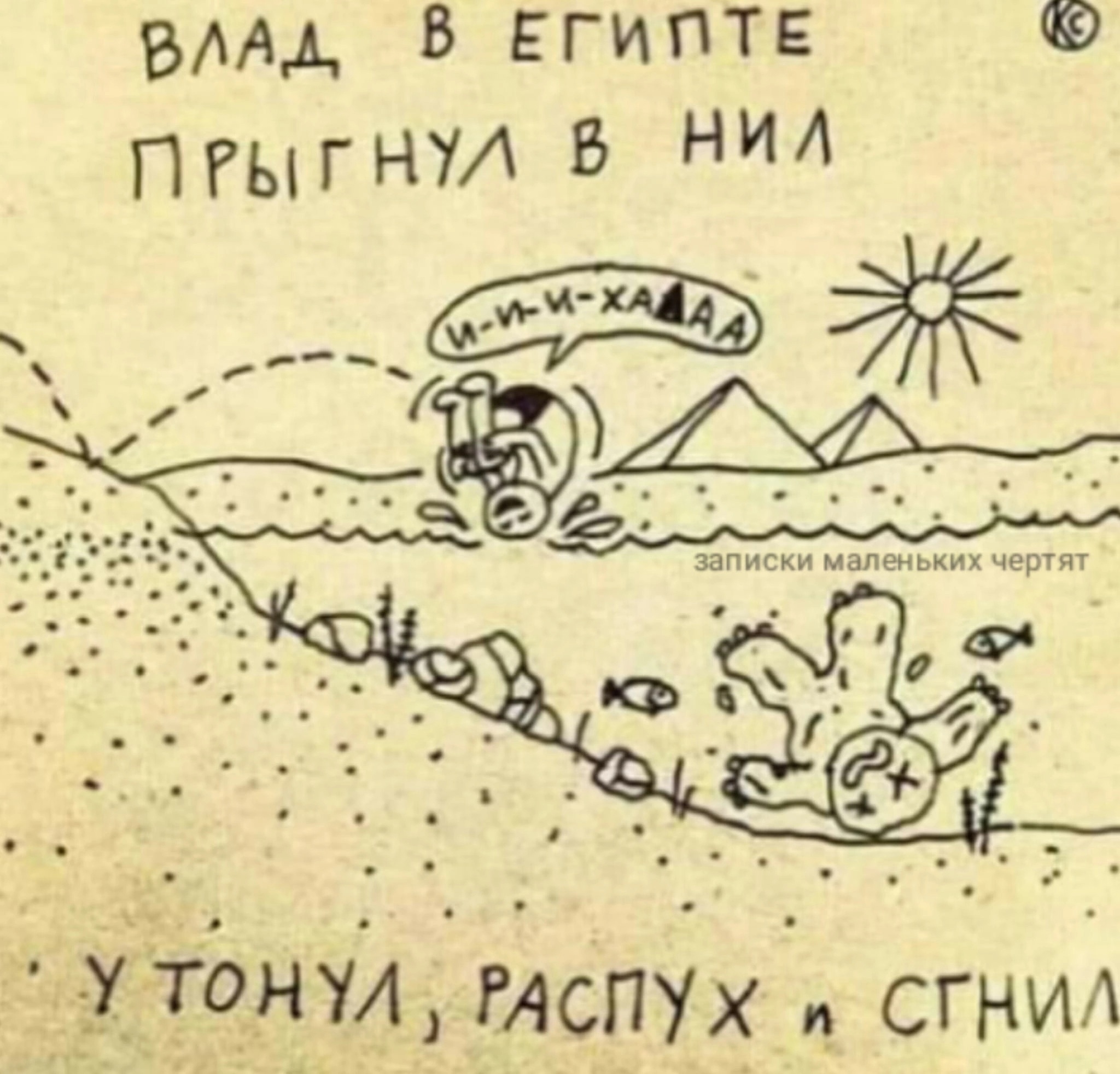 Приколюшные картинки - Бодибилдинг форум AnabolicShops