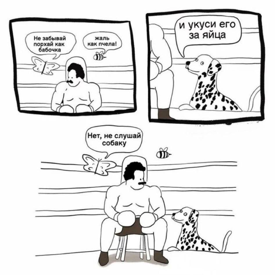 Приколюшные картинки - Бодибилдинг форум AnabolicShops