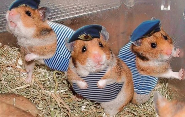 Курилка- разговоры на любые темы - Бодибилдинг форум AnabolicShops