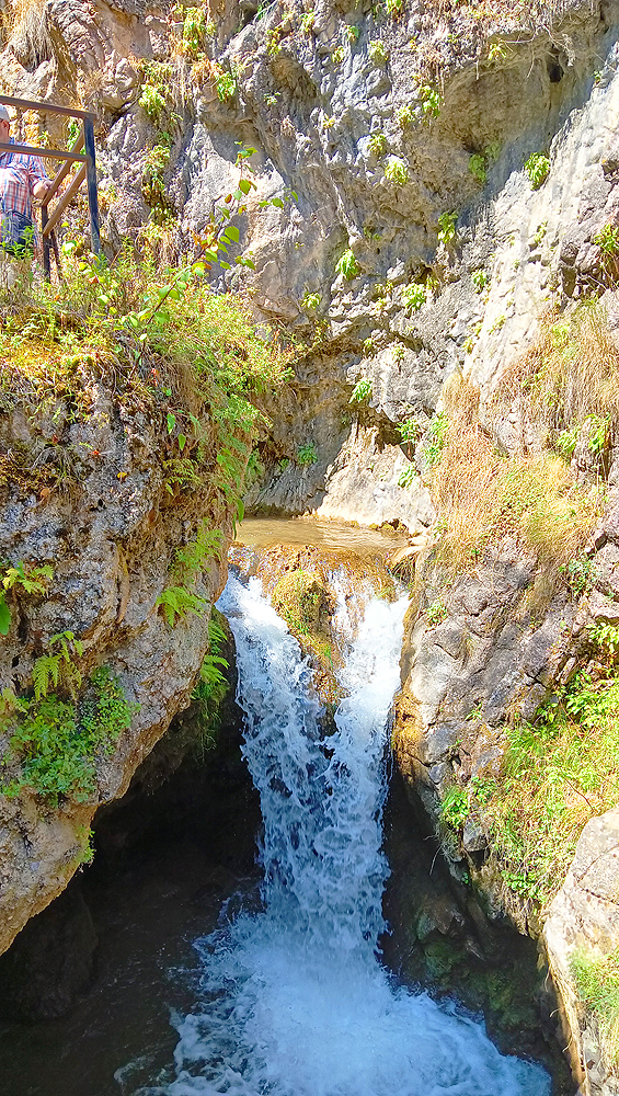 Hilma PRO - с заботой о вашем здоровье! - Бодибилдинг форум AnabolicShops