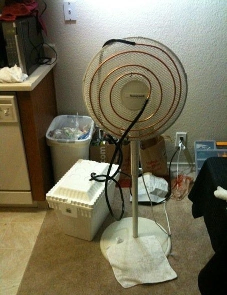 Приколюшные картинки - Бодибилдинг форум AnabolicShops