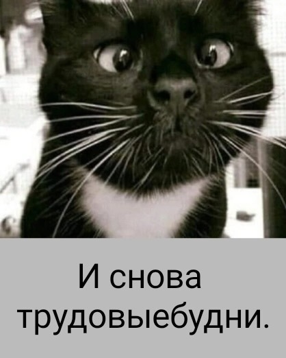 Курилка- разговоры на любые темы - Бодибилдинг форум AnabolicShops