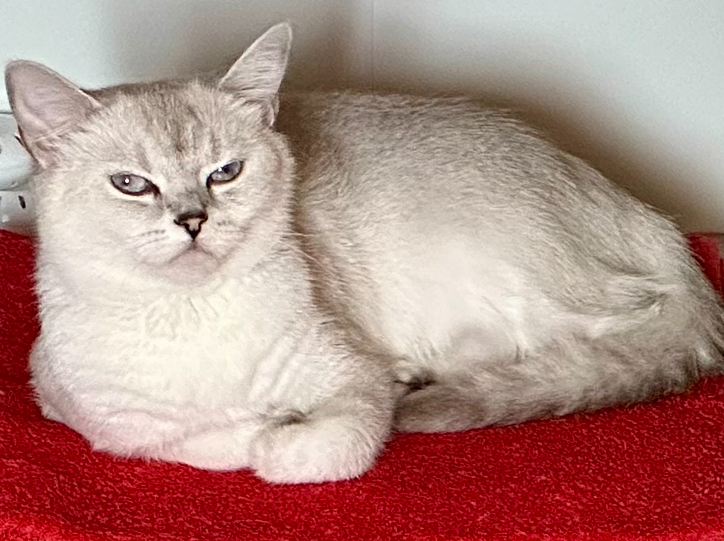 Hilma PRO - с заботой о вашем здоровье! - Бодибилдинг форум AnabolicShops