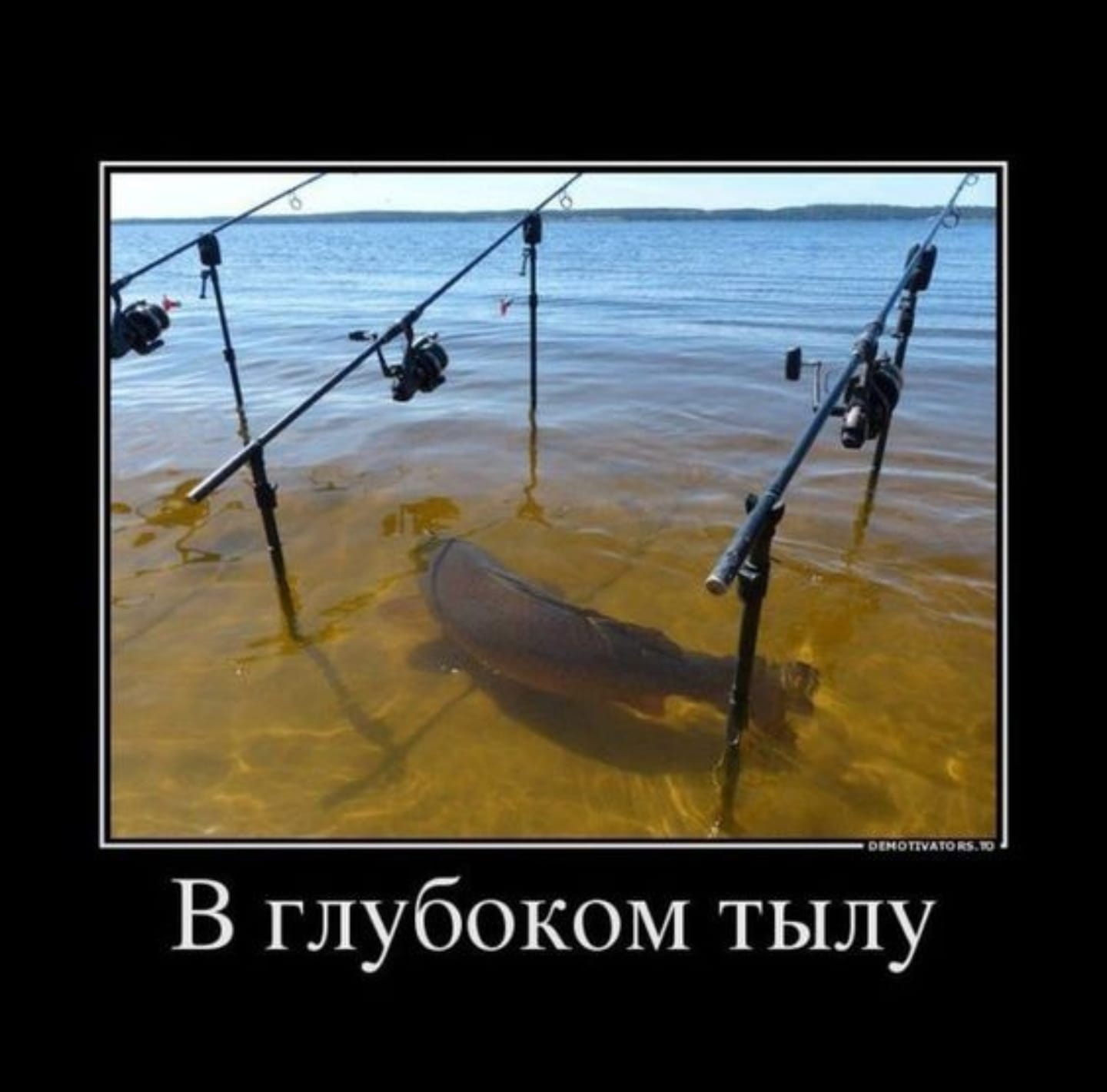 Приколюшные картинки - Бодибилдинг форум AnabolicShops