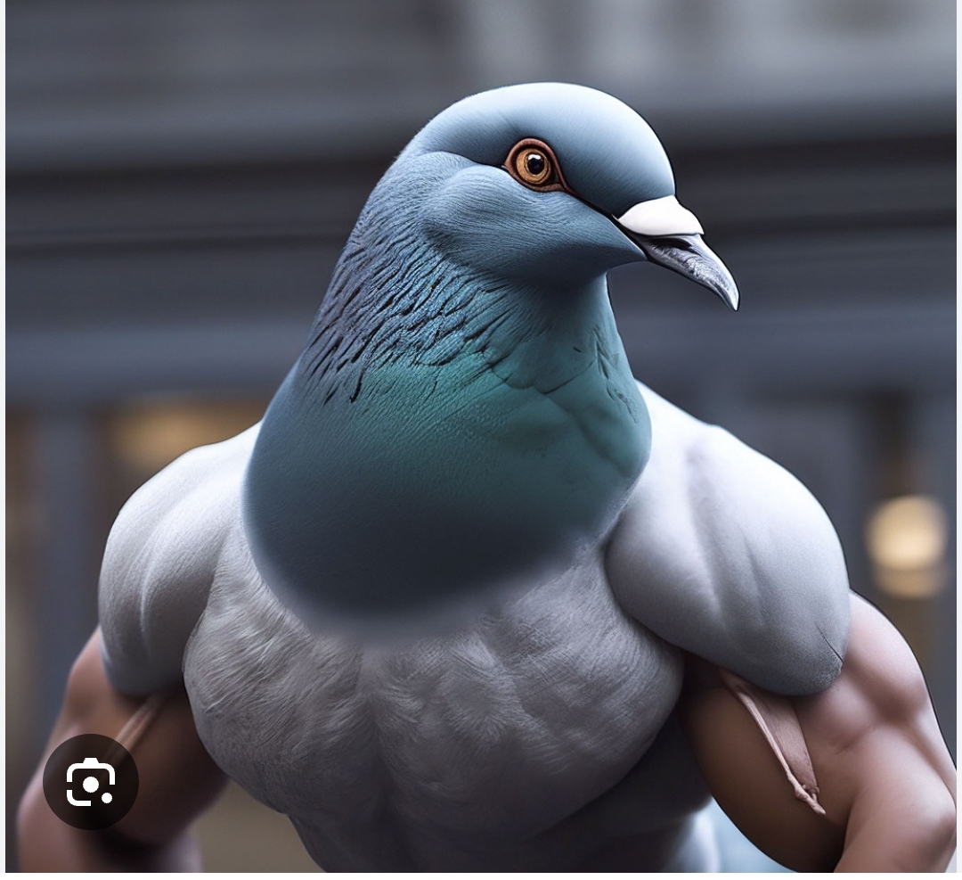 Simplex Pharma! Качественная фарма - Бодибилдинг форум AnabolicShops