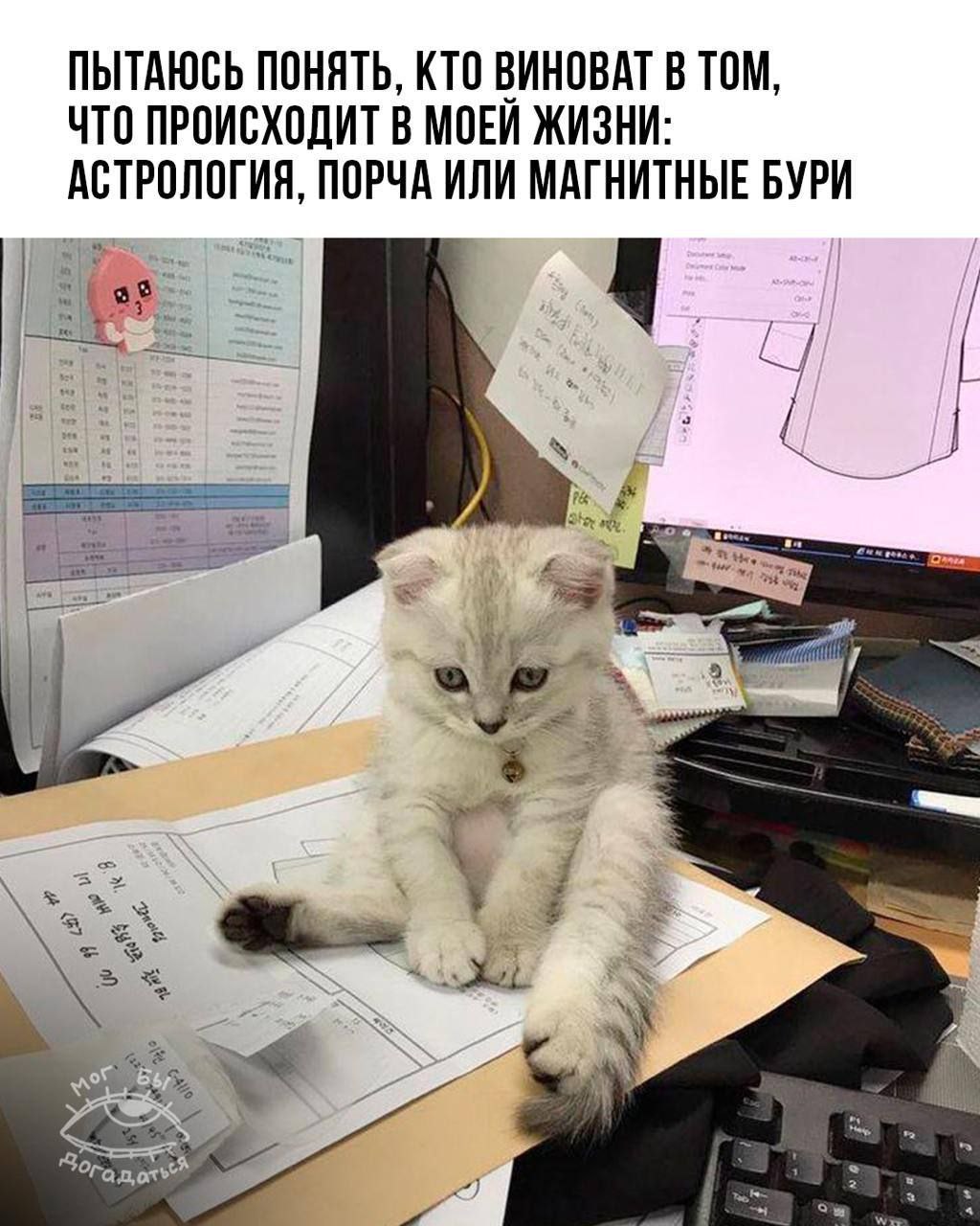 Simplex Pharma! Качественная фарма - Бодибилдинг форум AnabolicShops