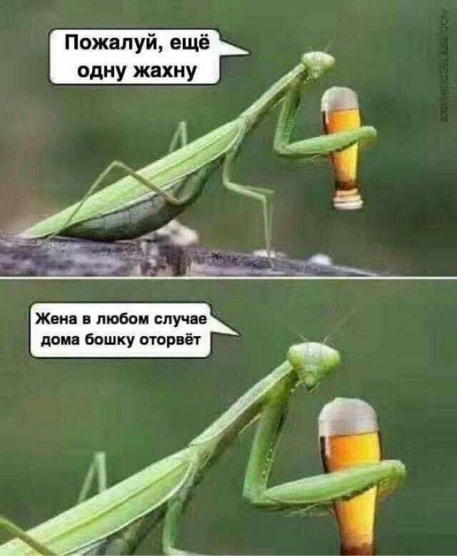 Курилка- разговоры на любые темы - Бодибилдинг форум AnabolicShops