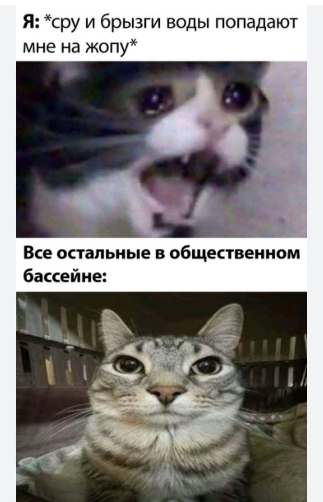 Приколюшные картинки - Бодибилдинг форум AnabolicShops