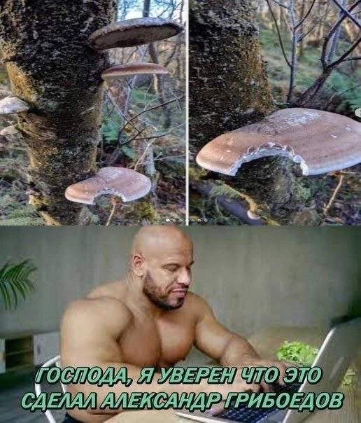 Приколюшные картинки - Бодибилдинг форум AnabolicShops