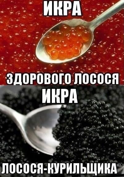 Курилка- разговоры на любые темы - Бодибилдинг форум AnabolicShops