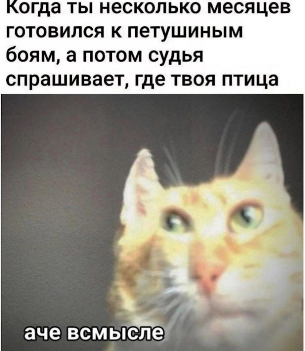 Приколюшные картинки - Бодибилдинг форум AnabolicShops