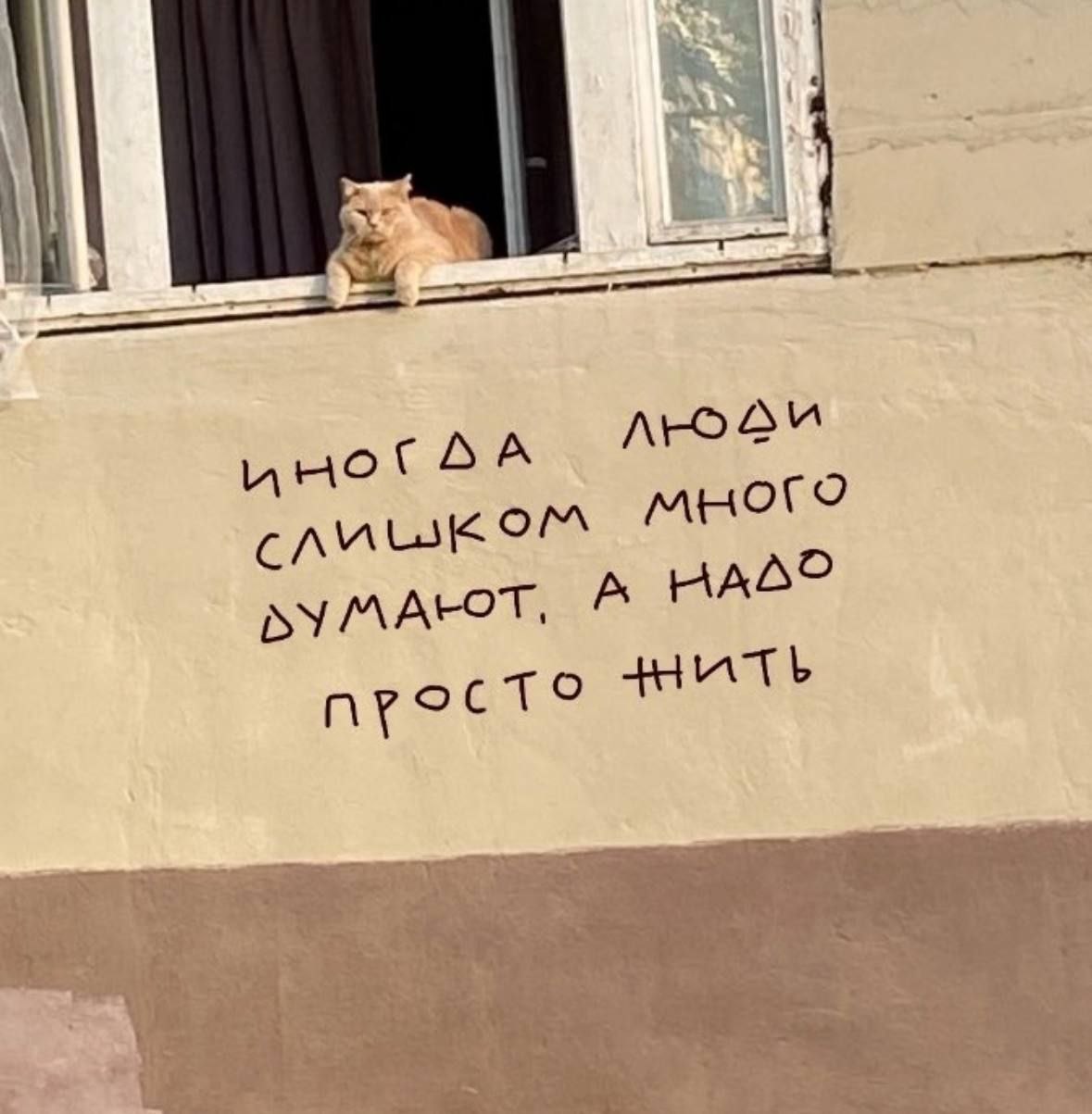 Simplex Pharma! Качественная фарма - Бодибилдинг форум AnabolicShops