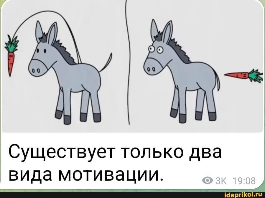 Приколюшные картинки - Бодибилдинг форум AnabolicShops