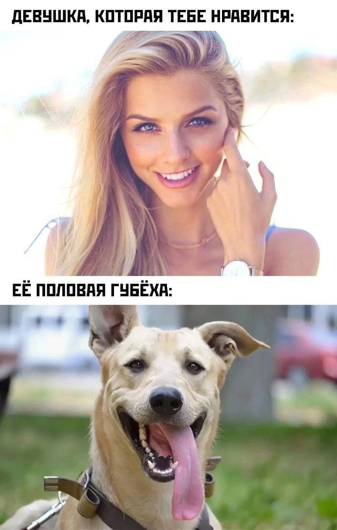 Приколюшные картинки - Бодибилдинг форум AnabolicShops