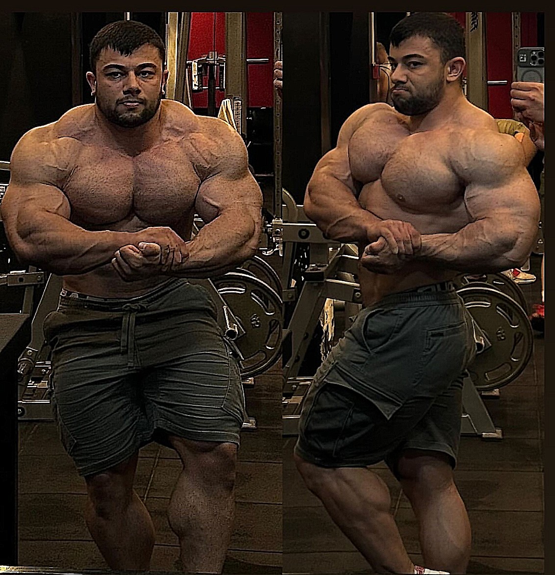 22-летний Нихат Кайя: самый молодой IFBB Pro еще вырос - Бодибилдинг форум AnabolicShops