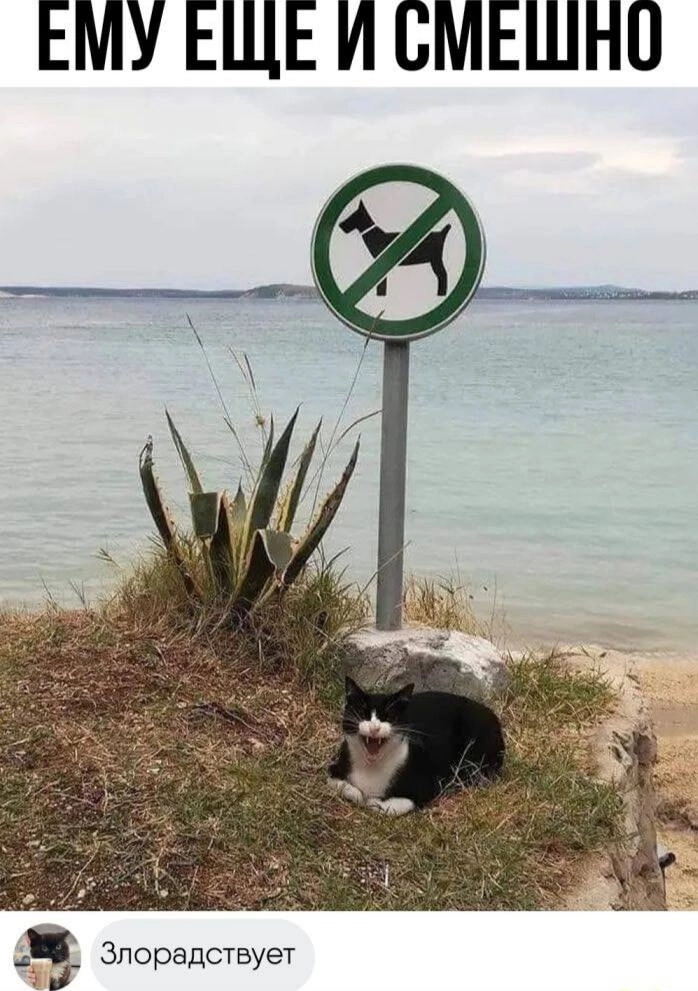 Приколюшные картинки - Бодибилдинг форум AnabolicShops