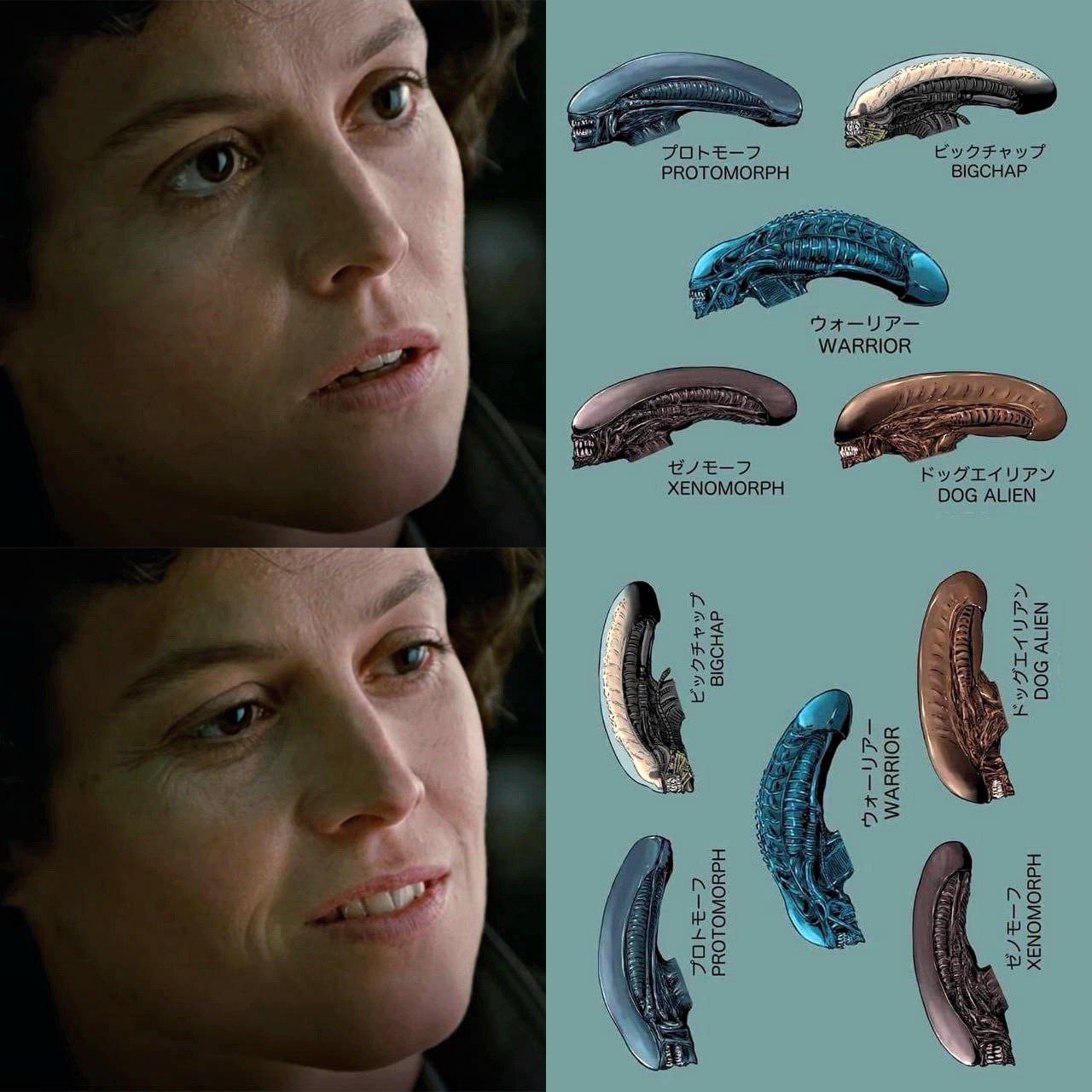 Приколюшные картинки - Бодибилдинг форум AnabolicShops