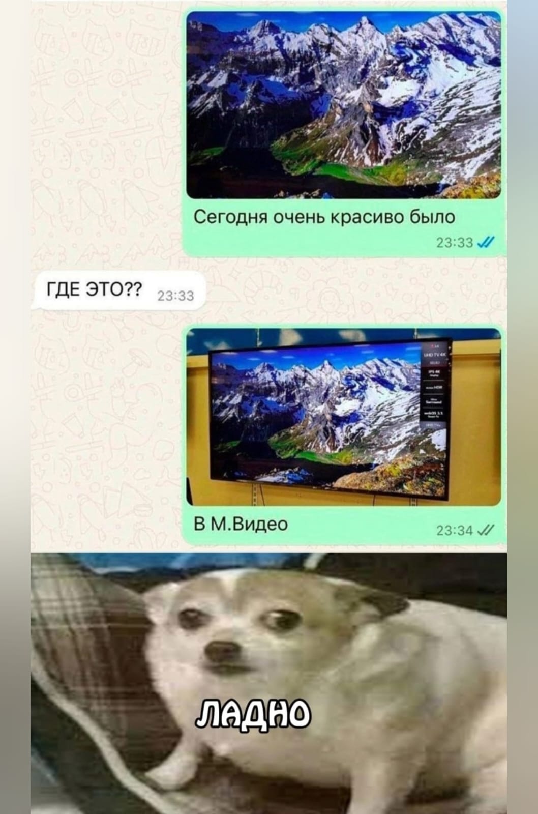 Приколюшные картинки - Бодибилдинг форум AnabolicShops