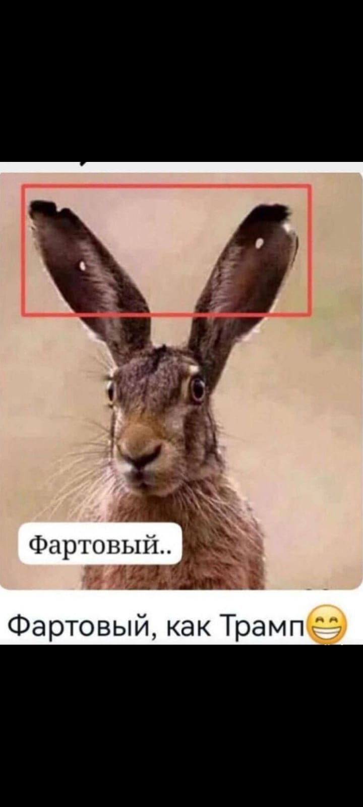 Приколюшные картинки - Бодибилдинг форум AnabolicShops