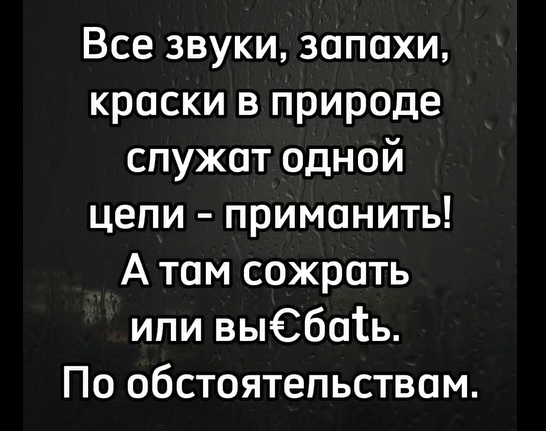 Приколюшные картинки - Бодибилдинг форум AnabolicShops