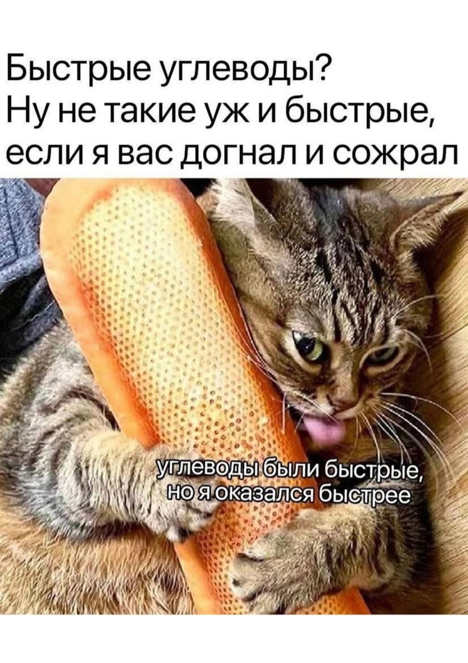 Болталка про ЗОЖ - трехсотый пауэрлифтер! - Бодибилдинг форум AnabolicShops