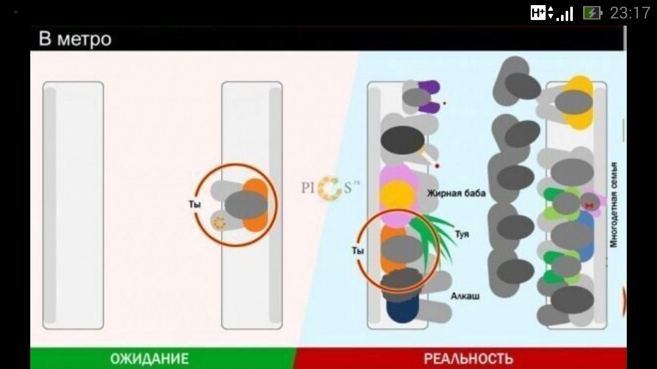 Подкачай предплечье ;) - Бодибилдинг форум AnabolicShops