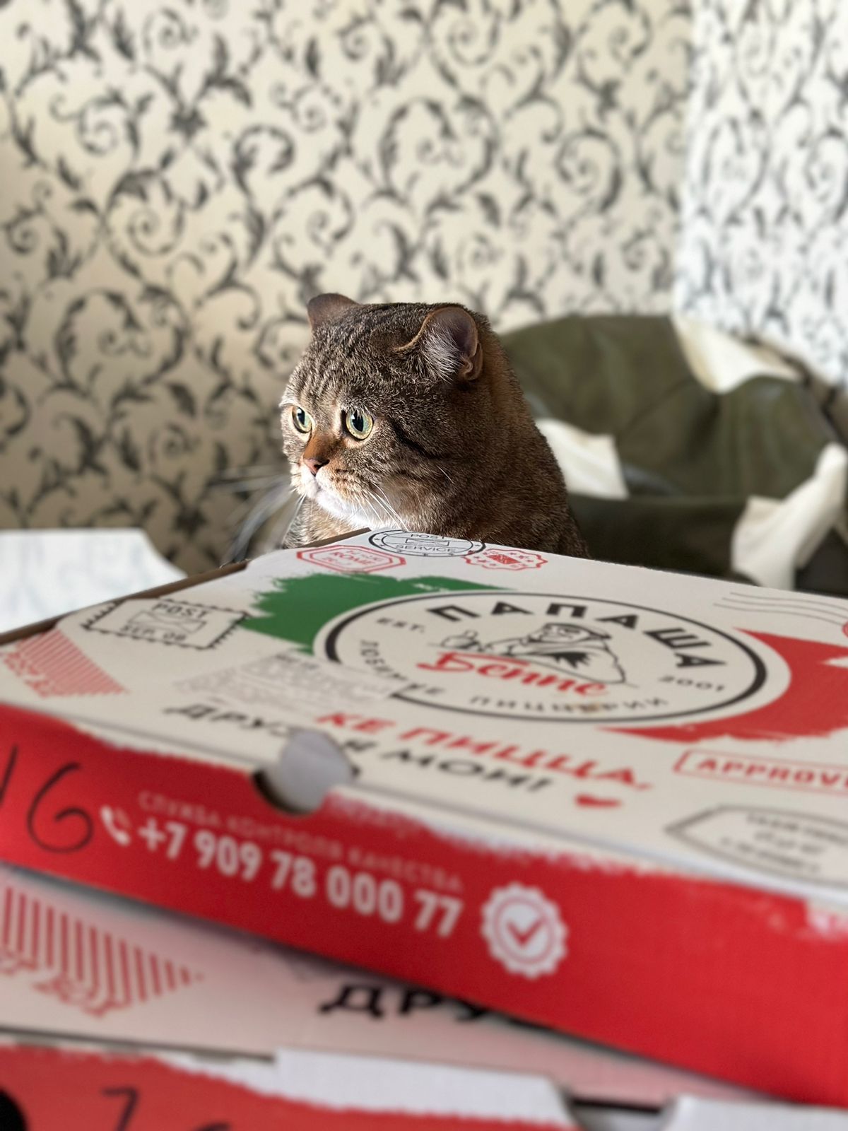 Hilma PRO - с заботой о вашем здоровье! - Бодибилдинг форум AnabolicShops