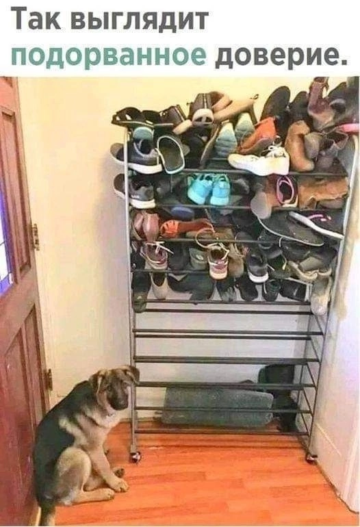 Приколюшные картинки - Бодибилдинг форум AnabolicShops