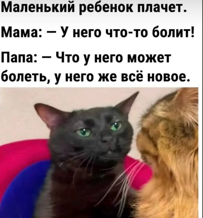 Приколюшные картинки - Бодибилдинг форум AnabolicShops