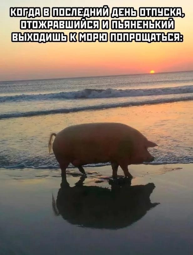 Приколюшные картинки - Бодибилдинг форум AnabolicShops