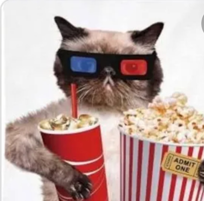 Болталка про ЗОЖ - трехсотый пауэрлифтер! - Бодибилдинг форум AnabolicShops