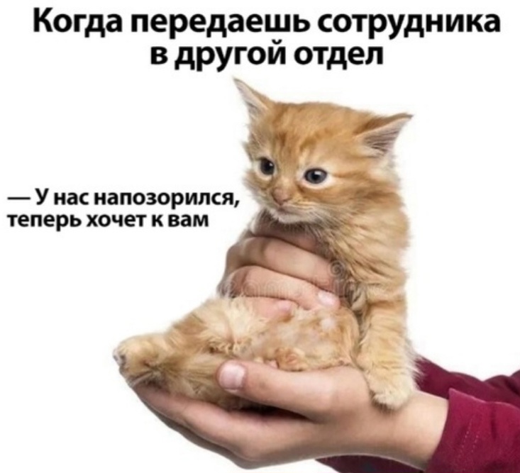 Приколюшные картинки - Бодибилдинг форум AnabolicShops