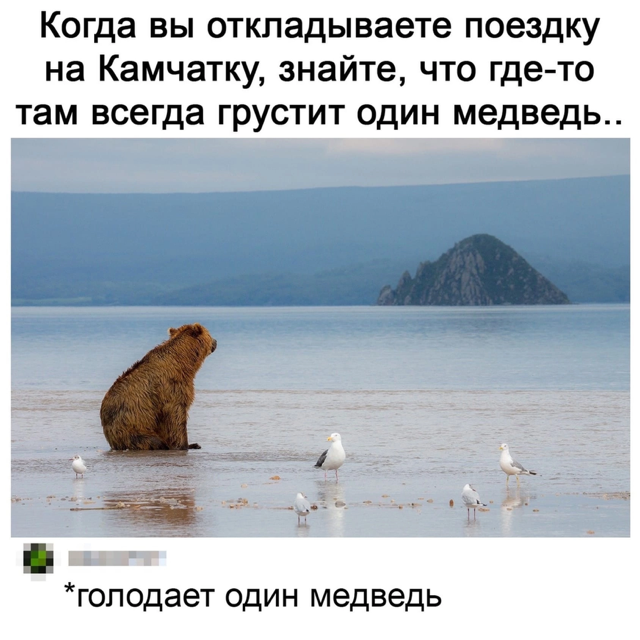 Приколюшные картинки - Бодибилдинг форум AnabolicShops