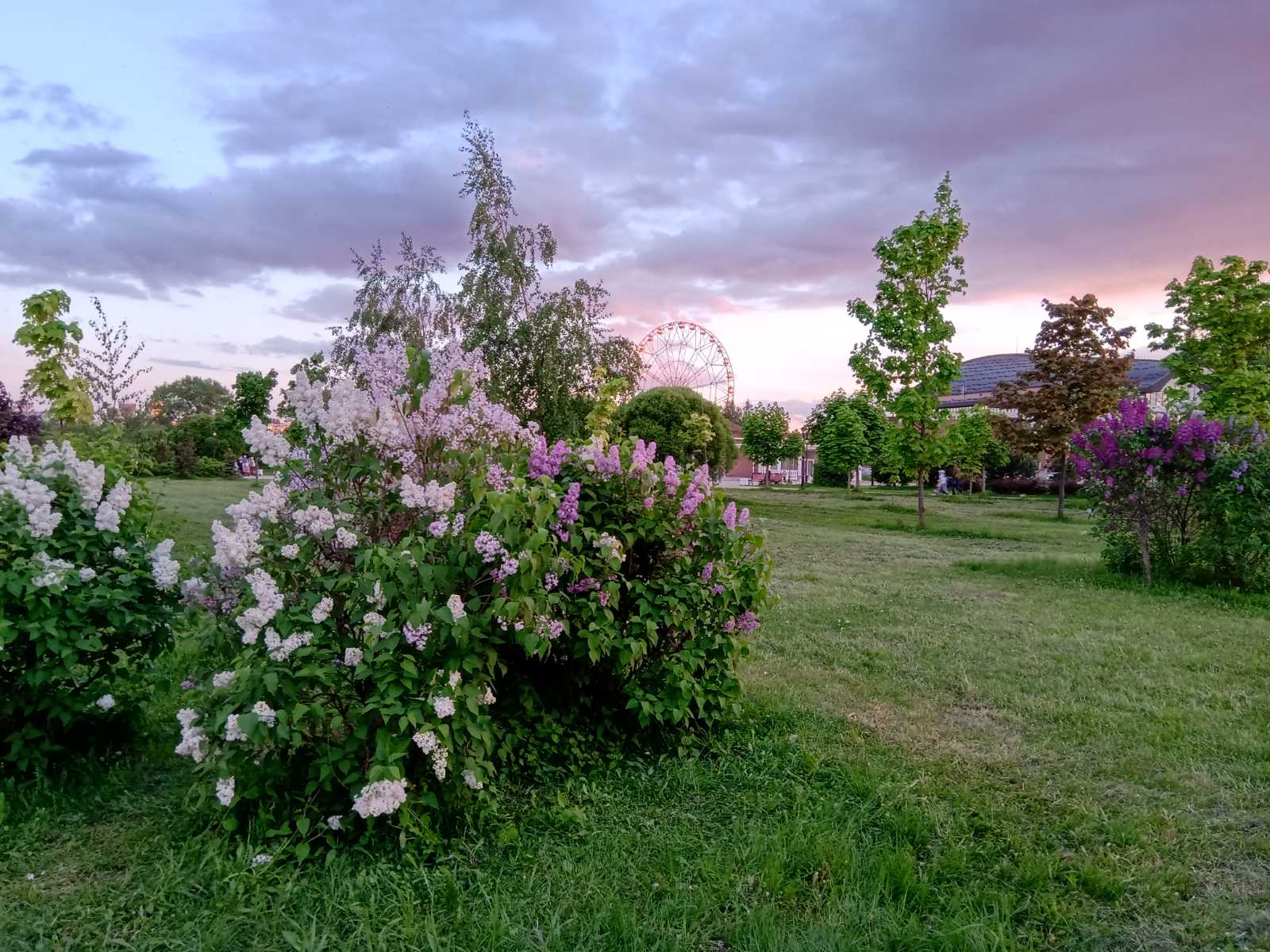 Hilma PRO - с заботой о вашем здоровье! - Бодибилдинг форум AnabolicShops