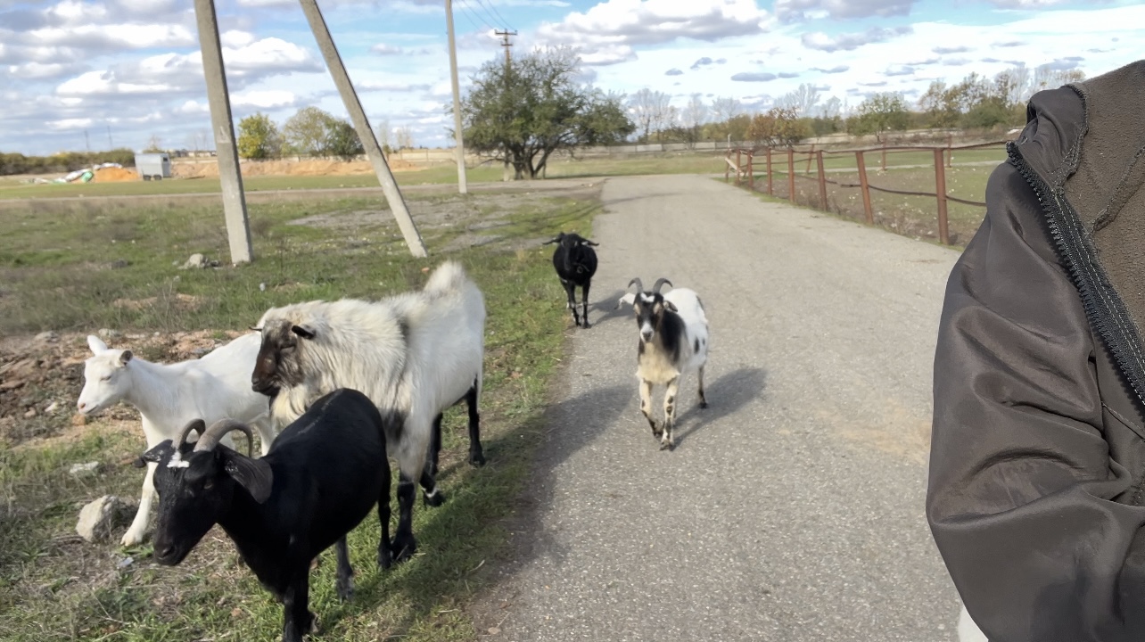 Болталка про ЗОЖ - трехсотый пауэрлифтер! - Бодибилдинг форум AnabolicShops