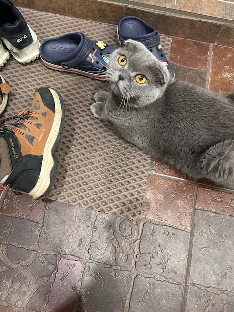 Болталка про ЗОЖ - трехсотый пауэрлифтер! - Бодибилдинг форум AnabolicShops