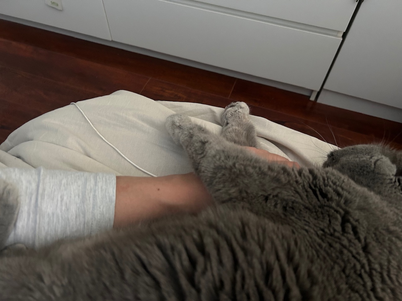 Болталка про ЗОЖ - трехсотый пауэрлифтер! - Бодибилдинг форум AnabolicShops