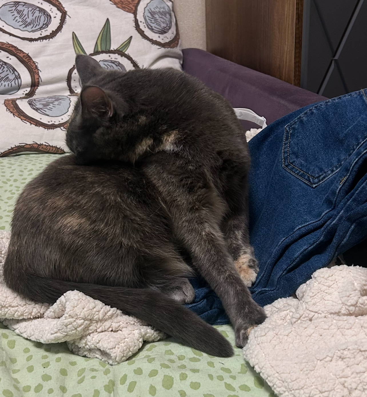 Болталка про ЗОЖ - трехсотый пауэрлифтер! - Бодибилдинг форум AnabolicShops