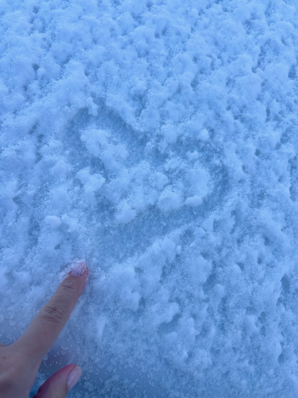 Болталка про ЗОЖ - трехсотый пауэрлифтер! - Бодибилдинг форум AnabolicShops