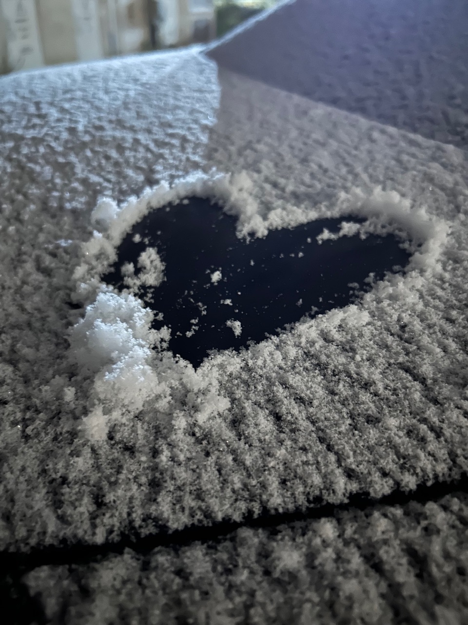 Болталка про ЗОЖ - трехсотый пауэрлифтер! - Бодибилдинг форум AnabolicShops