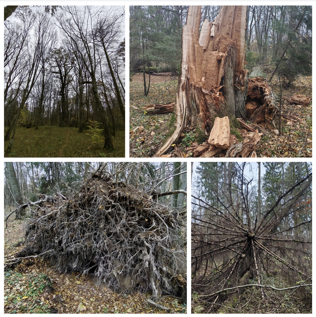 Hilma PRO - с заботой о вашем здоровье! - Бодибилдинг форум AnabolicShops