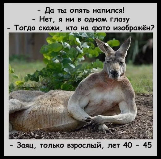 Приколюшные картинки - Бодибилдинг форум AnabolicShops